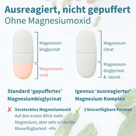 Igennus Fortschrittlicher Dreifach-Magnesium-Komplex Tabletten 60 St.