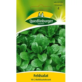 Quedlinburger Feldsalat, Vit