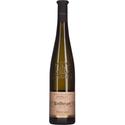 Hengst Grand Cru Pinot Gris Wolfberger 2019