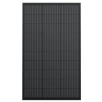 Ecoflow Solarmodul EcoFlow 100W Starres Solarpanel 2er Set, 100 W, Monokristallin, (Das Solar auf XT60i-Ladekabel ist nicht enthalten), Hoher Wirkungsgrad; einfache Montage schwarz