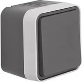 Berker 30763505 Wechselschalter W.1 grau