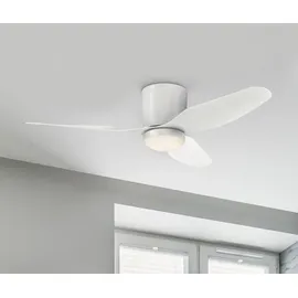 Westinghouse Carla 117 Deckenventilator