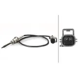 Hella Sensor, Abgastemperatur