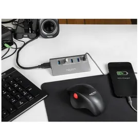 DeLock USB 10 Gbps Hub mit 4 USB Typ-A Ports + 1 Schnellladeport