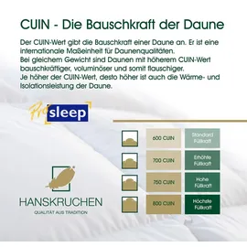 HANSKRUCHEN GmbH HANSKRUCHEN® Daunendecke 155x200 cm Ganzjahresbettdecke waschbar Allergiker Bettdecke atmungsaktiv Kassettendecke weiß - Weiß