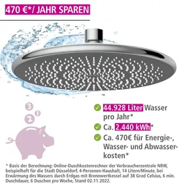Wenko Regenduschkopf Watersaving