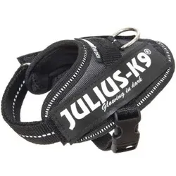 Julius-K9 Hundehalsband und -geschirr (Hund, Allgemein), Halsband + Leine