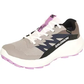 Salomon Alphaglide Gore-Tex Damen Etherea / Vanilla Ice / Cyclamen 39