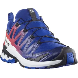 Salomon XA Pro 3D V9 GTX Herren Surf The Web/Fiery Red/White 42