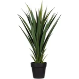 Paperflow meet powered by PAPERFLOW YUCCA Kunstpalme 60,0 cm