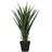 Paperflow meet powered by PAPERFLOW YUCCA Kunstpalme 60,0 cm