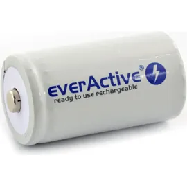 Everactive Akku D 10000 mAh 2 St.