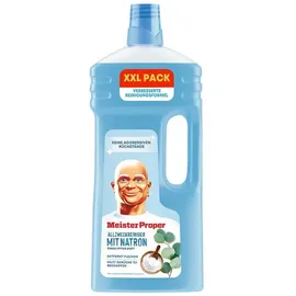 Meister Proper Allzweckreiniger Natron und Eukalyptus-Duft 2 l