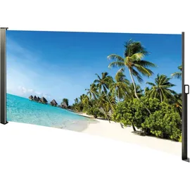 Westerholt Seitenmarkise 160 x 280 cm Mehrfarbig Stahl