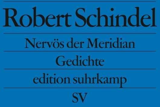 Nervös Der Meridian - Robert Schindel  Taschenbuch