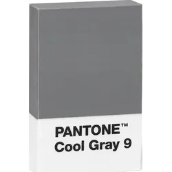 Pantone Radiergummi grau