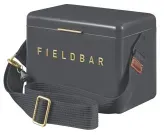 FIELDBAR Mini Bar Kühlbox Oyster Grey