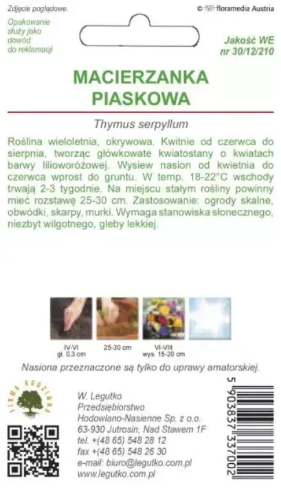 Sand-Thymian – lila-rosa