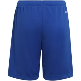 adidas Entrada 22 Shorts Kinder - 116