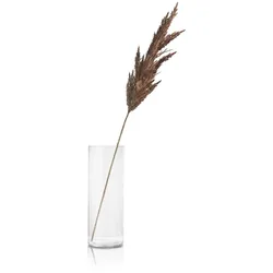 Coco Maison Pampas Grass Spray Kunstpflanze H115cm - Braun
