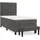 vidaXL Boxspringbett 100 x 200 cm Dunkelgrau