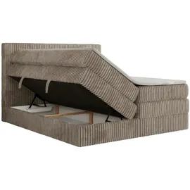 MKS Meble Tiliano King 200 x 200 cm H3 Braun
