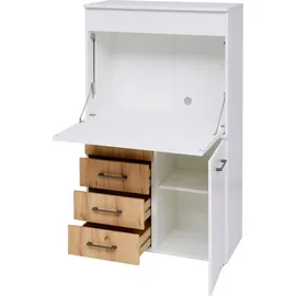 Priess Sekretär "Lissabon", braun (lichtweiß, astkernbuche), B:82cm H:139cm T:38cm, Sekretäre, Sekretär