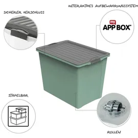 Rotho Aufbewahrungsbox mit Rollen Kunststoff (PP recycelt) BPA-frei, grün/anthrazit, A3/70l 57,0 x 39.5 x 43.5 cm)