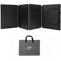 EcoFlow Solar Panel 110W faltbares Solarmodul mit Tragetasche