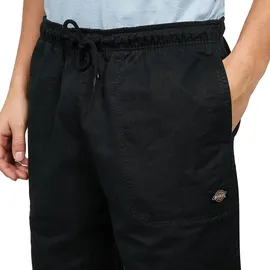 Dickies Pelican Rapids Shorts Herren BLACK S