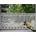 STICKEREIEN PLAUEN Gr 2 natur B 80cm H 40cm Polyester Gardinen