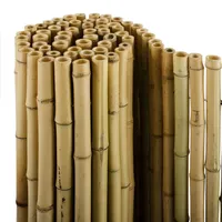 casa pura® Bambus Sichtschutz | Bambusmatte in Premiumqualität, Massive Bambusrohre | naturbelassen | DREI Größen (180x200cm, HxB)