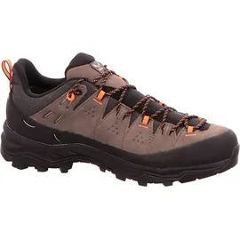 Salewa Alp Trainer 2 GTX Herren Bungee Cord/Black 46