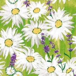 Mank Serviette Airlaid Nadine, 40 x 40 cm, 50 Stück - Lavendel Margeriten Blumen Blüten Wiese