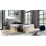 Fun Möbel Boxspringbett Schlafzimmerbett MARCOS 180x200cm Stoff Grau inkl. Bettkasten - Grau