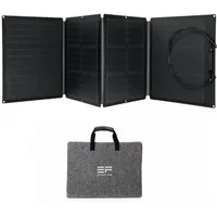 EcoFlow Solar Panel 110W faltbares Solarmodul mit Tragetasche