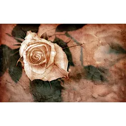 Fototapete PAPERMOON "Muster mit Blumen", bunt, B:3,50m L:2,60m, Vlies, Tapeten