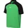 Nike Academy Pro Dri-FIT Poloshirt grün M
