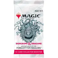 Wizards of the Coast D&D Abenteuer in den Forgotten