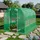 TOOLPORT Foliengewächshaus PE-Plane Grün transparent 180 g/m2 6 m2