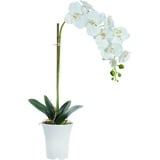 Kunstpflanze Kunstblume Dekopflanze Orchidee 70 cm hoch Orchidee, B&S, Höhe 70 cm weiß