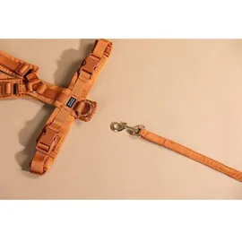 Kentucky Active Velvet Hundegeschirr - Orange - 48-70 cm