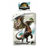Halantex SP. z.o.o. Jurassic World Titanosaurus Grau 140 x 200 cm + 70 x 90 cm