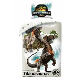 Halantex SP. z.o.o. Jurassic World Titanosaurus Grau 140 x 200 cm + 70 x 90 cm