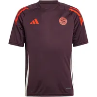 Adidas FC Bayern München Tiro 24, SHAMAR/RED, 140