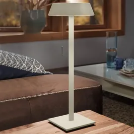 Oligo Glance Cashmere