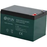 Efun Akku 12V 12Ah, passend für Elektro Fahrzeuge