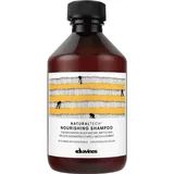 Davines Naturaltech Purifying Shampoo 250 ml