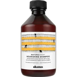Davines Naturaltech Purifying Shampoo 250 ml