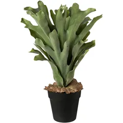Künstliche Zimmerpflanze CREATIV GREEN, grün, H:45cm, Kunststoff, Kunstpflanzen